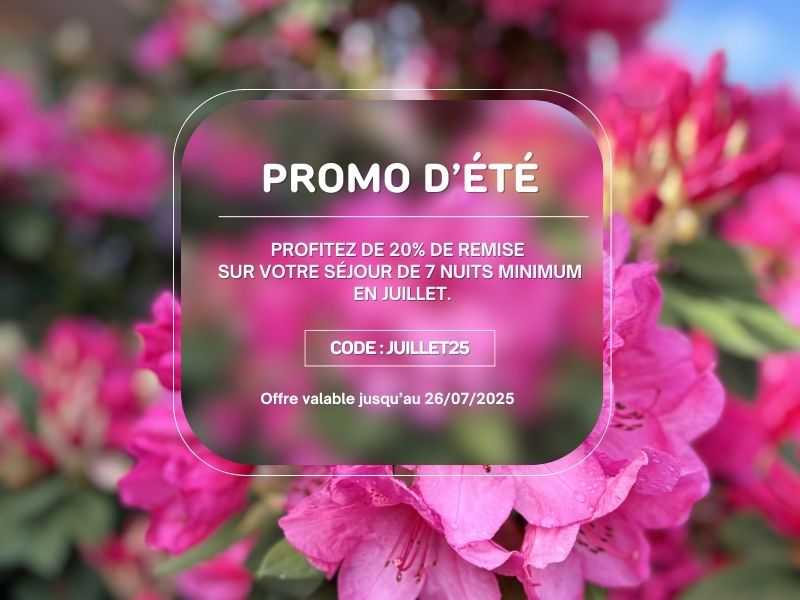 PROMO